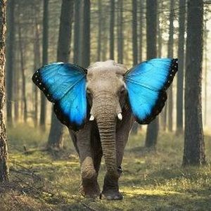 Meet your Posher, Shelley lynn